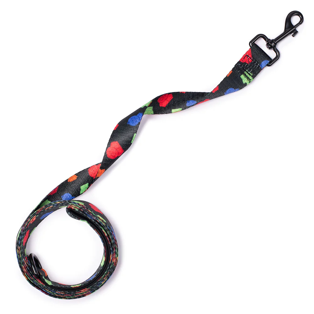 South Park Boys Pet Leash - Image 2
